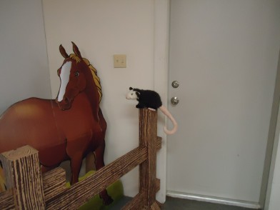 vbs western theme- shoot the possum